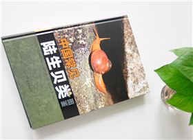 陸生貝類  精裝畫冊(cè)印刷出版