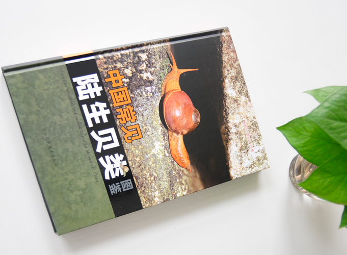 陸生貝類(lèi)  精裝畫(huà)冊(cè)印刷出版